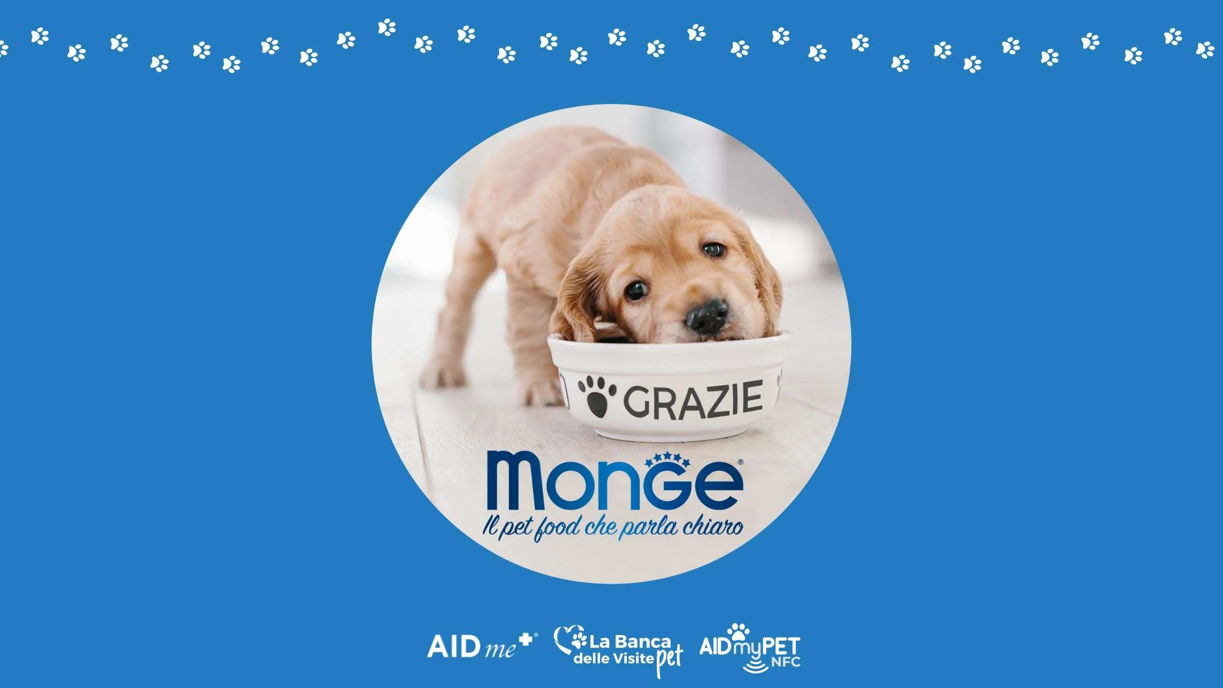 Banka donacij za veterinarsko oskrbo živali